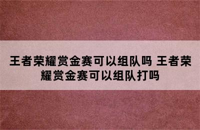 王者荣耀赏金赛可以组队吗 王者荣耀赏金赛可以组队打吗